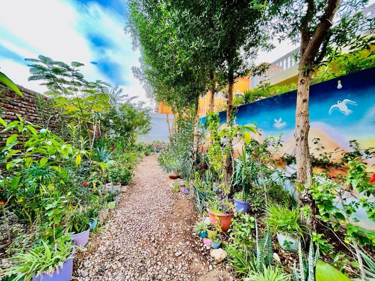 Luxor Nile View Flats Apartment Bagian luar foto