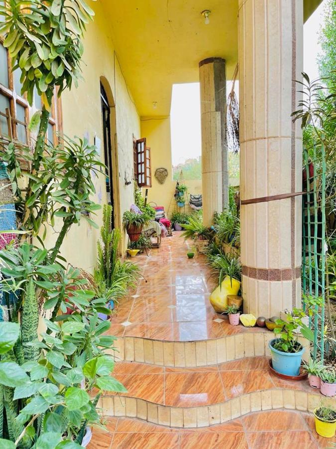 Luxor Nile View Flats Apartment Bagian luar foto