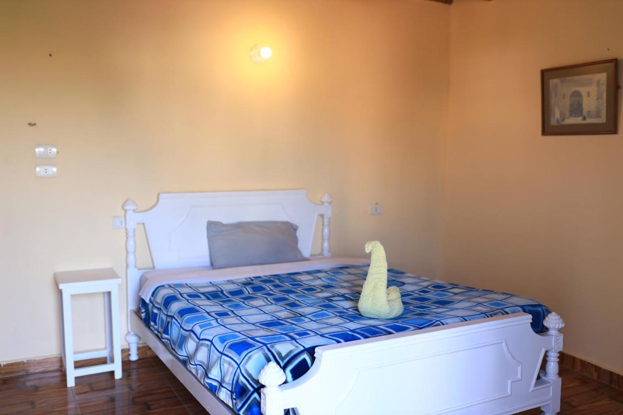 Luxor Nile View Flats Apartment Bagian luar foto